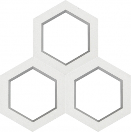 VCBS-010-1000 Hexagon 2